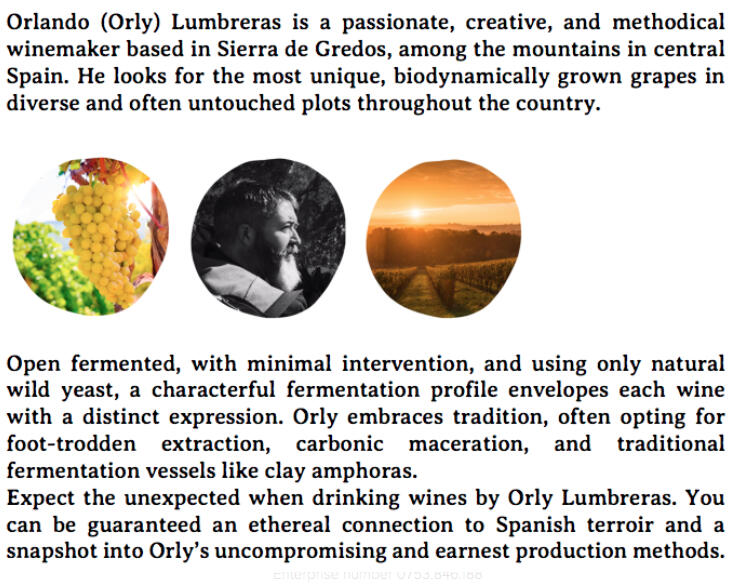 Orly Lumbreras by Green Copywriting